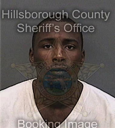Bieneston Bienaime - Hillsborough County, FL 