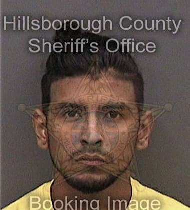 Hector Dejesus, - Hillsborough County, FL 