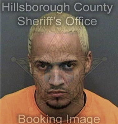 Manuel Diazleon, - Hillsborough County, FL 