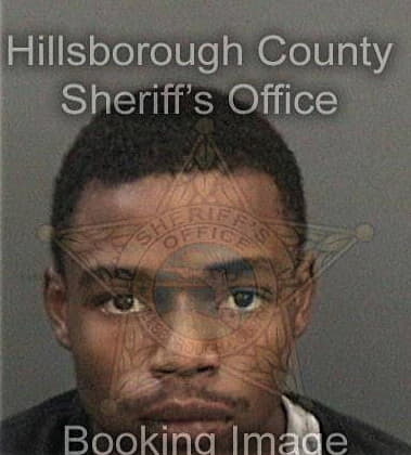 David Lewis, - Hillsborough County, FL 