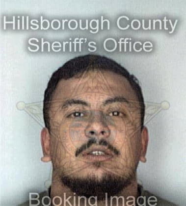 Auver Megchun - Hillsborough County, FL 