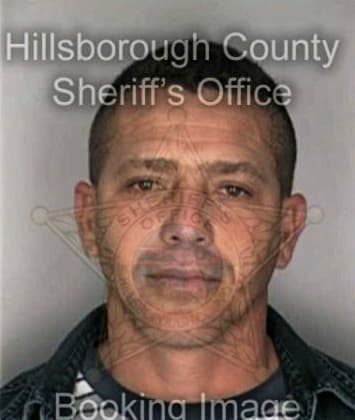 Manuel Perezlopez, - Hillsborough County, FL 