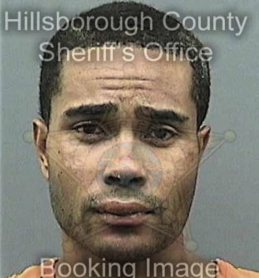 Hector Castrotavarez, - Hillsborough County, FL 