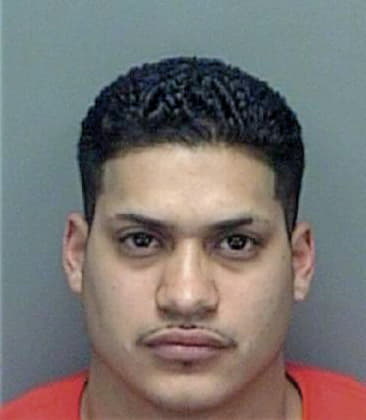 Pedro Garciamatiano, - Pinellas County, FL 