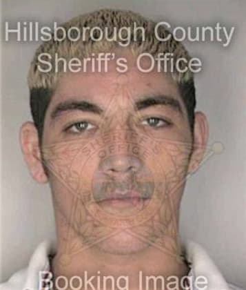Joshua Hollister - Hillsborough County, FL 