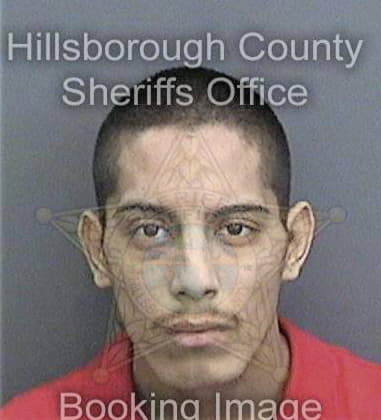 Juan Presigaorjuela, - Hillsborough County, FL 