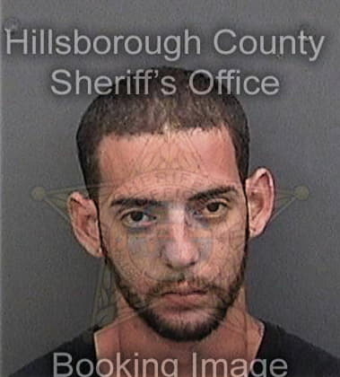 Douglas Rochester, - Hillsborough County, FL 