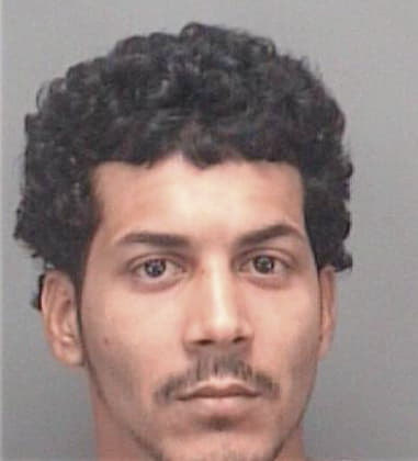 Miguel Soto - Pinellas County, FL 