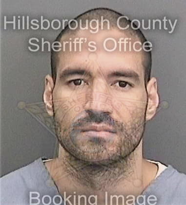 Adolfo Torres, - Hillsborough County, FL 