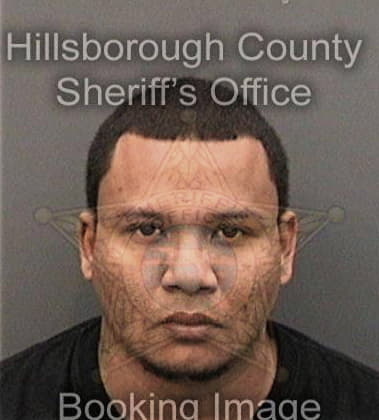 Jamaine Wilcox - Hillsborough County, FL 