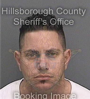 Kenneth Wood, - Hillsborough County, FL 