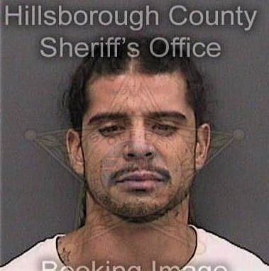 Timothy Bankston, - Hillsborough County, FL 