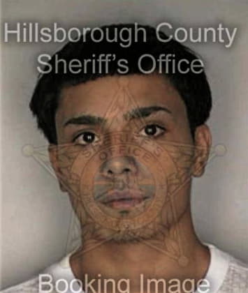 Michael McCarty - Hillsborough County, FL 