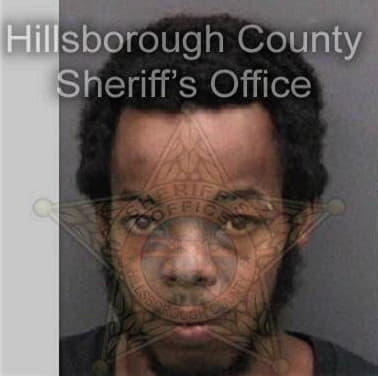 Ignacio Mejiamartinez - Hillsborough County, FL 
