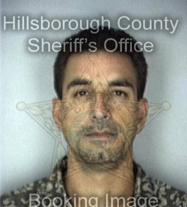 Juan Pineiro, - Hillsborough County, FL 