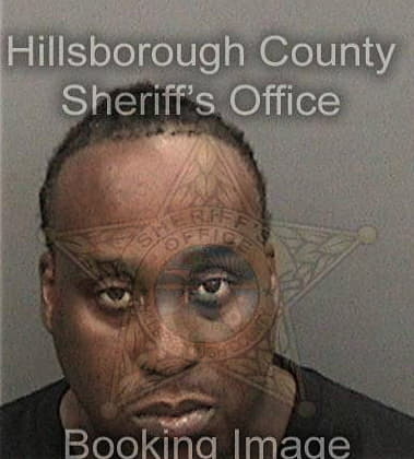 Rodshee Rayford, - Hillsborough County, FL 