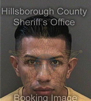 Nicholas Refaie, - Hillsborough County, FL 