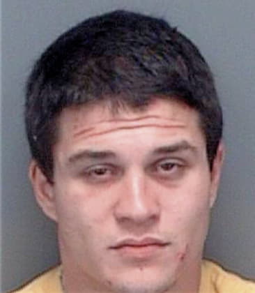 Paul Smith - Pinellas County, FL 