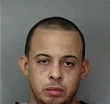 Mario Castanedasalmeron, - Polk County, FL 