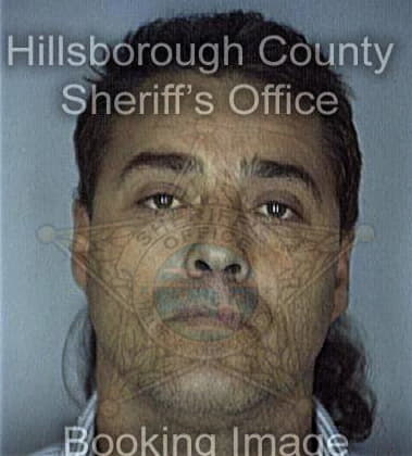 Alexander Garcia, - Hillsborough County, FL 