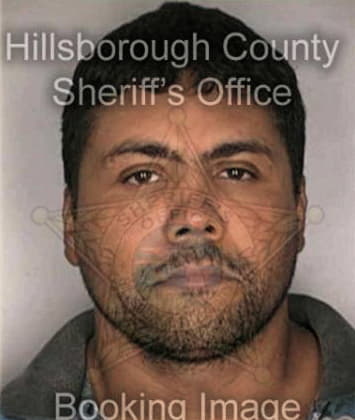 Dennis Missett - Hillsborough County, FL 