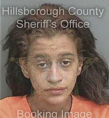 Damaris Santiago, - Hillsborough County, FL 