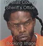 Gregory Snipes - Pinellas County, FL 
