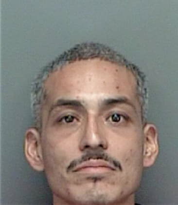 Jorge Temoxtle, - Pinellas County, FL 