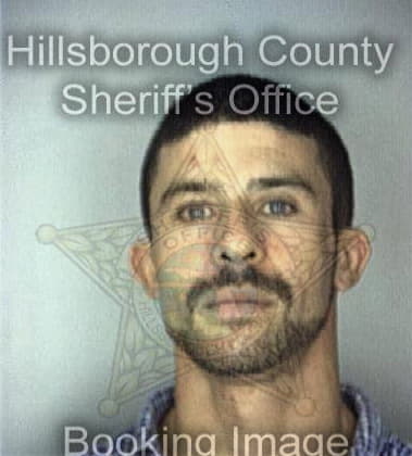 Victor Valencia, - Hillsborough County, FL 