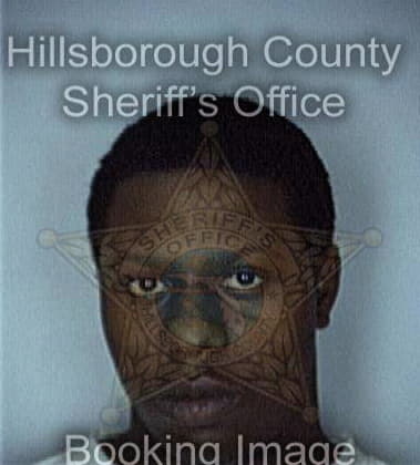 Robert Hicks - Hillsborough County, FL 
