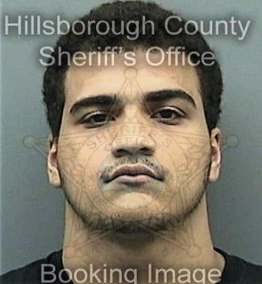 Christopher Keel, - Hillsborough County, FL 