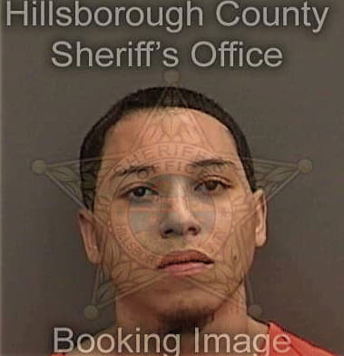 Henry McGall - Hillsborough County, FL 