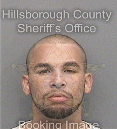 David Swagger, - Hillsborough County, FL 