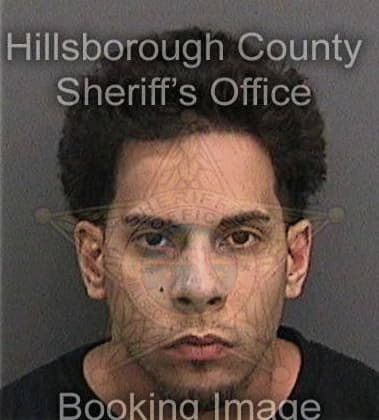 Gerardo Vera, - Hillsborough County, FL 