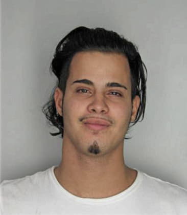 Gabriel Agaus, - Hillsborough County, FL 