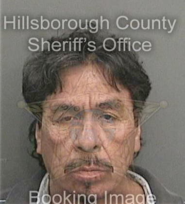 Ehab Hassan, - Hillsborough County, FL 