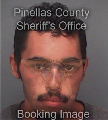 Michael Kaminski, - Pinellas County, FL 