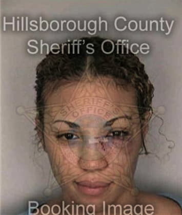 Michelle McKnight - Hillsborough County, FL 