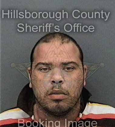 Vernard Sealey, - Hillsborough County, FL 