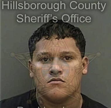 Mauro Yoc-Perez, - Hillsborough County, FL 