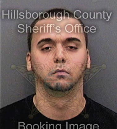 James Deese, - Hillsborough County, FL 