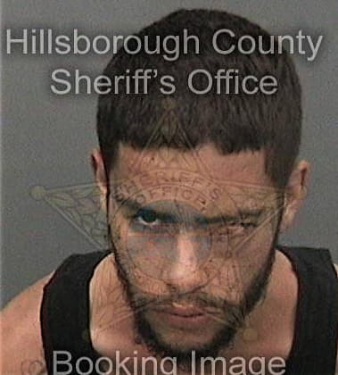Austin McGillem - Hillsborough County, FL 