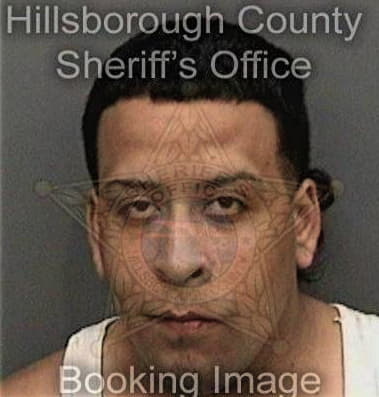 Robert Mergesky - Hillsborough County, FL 
