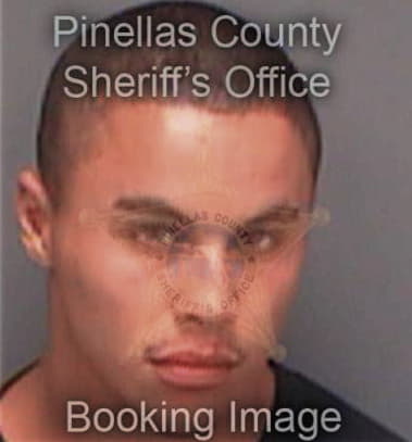 Miguel Ayala, - Pinellas County, FL 