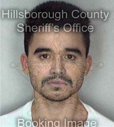 Elliott Hernandez - Hillsborough County, FL 