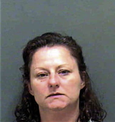 Amy Lee, - Mecklenburg County, NC 