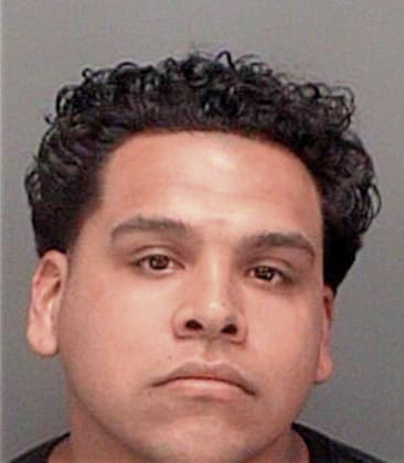 Daniel Martinezgarcia, - Pinellas County, FL 