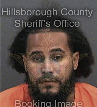 Lorenzo Vanblount, - Hillsborough County, FL 