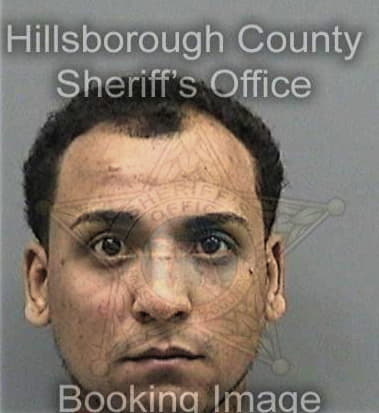 Luis Carocarballo, - Hillsborough County, FL 