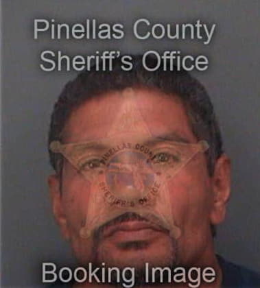 Harold Castaneda, - Pinellas County, FL 